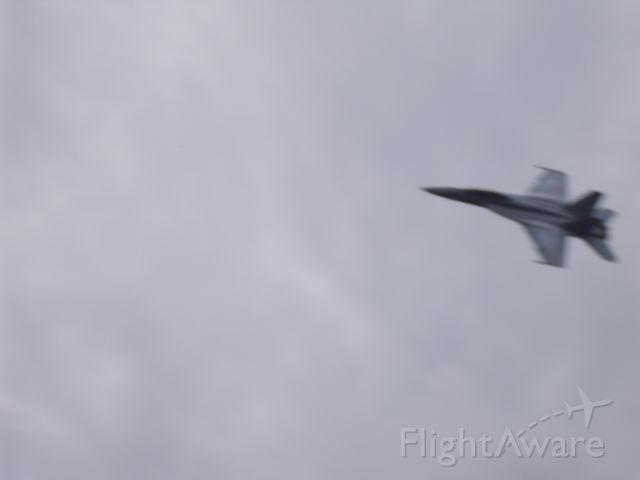 McDonnell Douglas FA-18 Hornet (NAVY) - I know its a bad pic, but it was going sooo fast it was hard to take a good one with the camera I had.