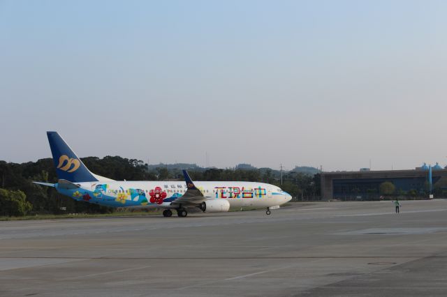 Boeing 737-700 (B-18659) - "Flowers shows Taichung" aircraft in Taichung airport.花现台中彩绘机于清泉岗机场