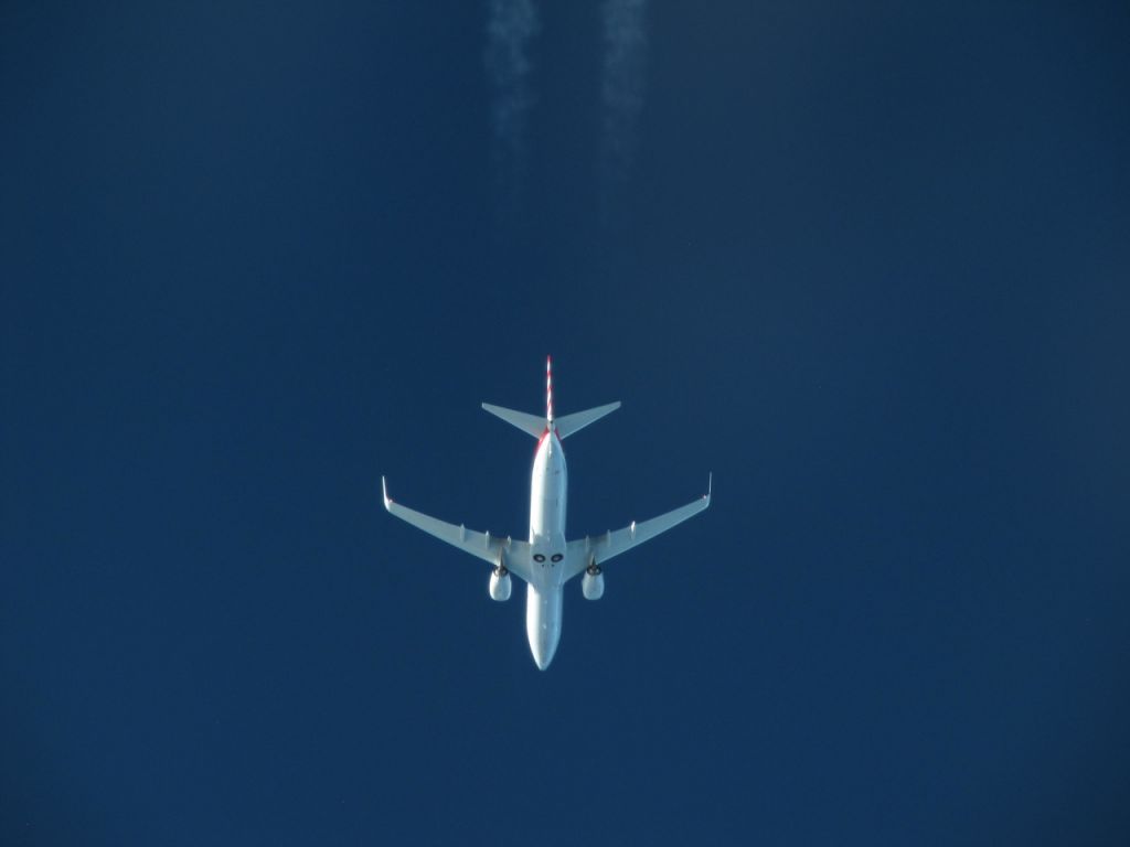 Boeing 737-800 — - AA B737-800 at cruising altitude