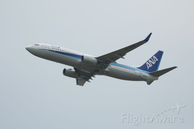 Boeing 737-800 (JA73AN) - 14 June 2015:HKD-NGO