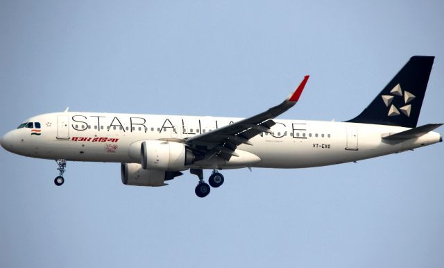 Airbus A320 (VT-EXO) - Star Alliance Livery