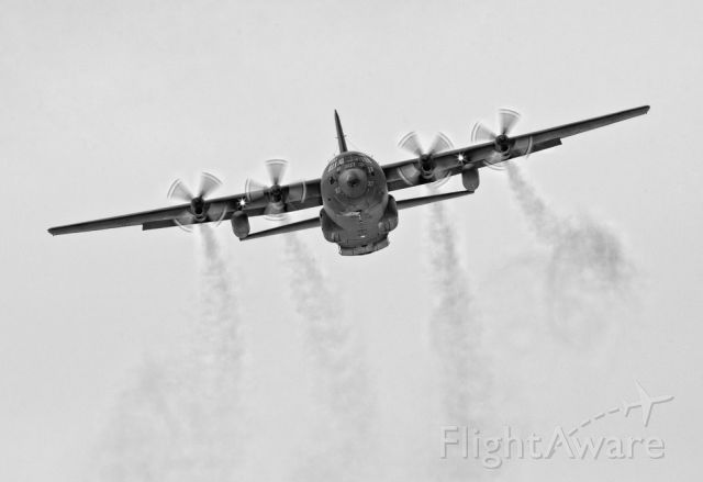 Lockheed C-130 Hercules (13-0307) - Grabbed this shot during a Search and Rescue Exercise in the Niagara Region of Ontario. Tiger 307 was flying about 800ft AGL in this photo.