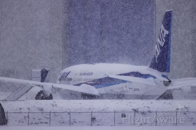 Boeing 787-8 (JA924A) - A rare near-blizzard this morning (26 December 2021) thoroughly dusting a shiny new ANA Dreamliner at Boeing's facility in Everett, Washington