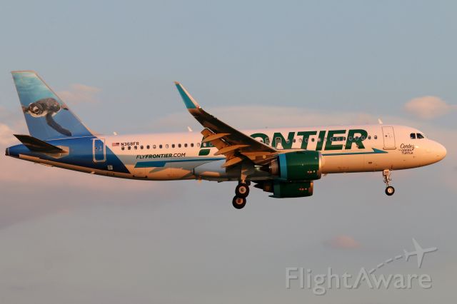 Airbus A320 (N368FR) - "Cortex the Green Turtle" debuts in CLE