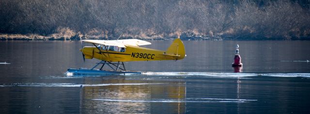 Piper L-21 Super Cub (N390CC) - Kenmore Air N390CC at the Kenmore Air Harbor taken from Logboom Park in Kenmore, WA, USA