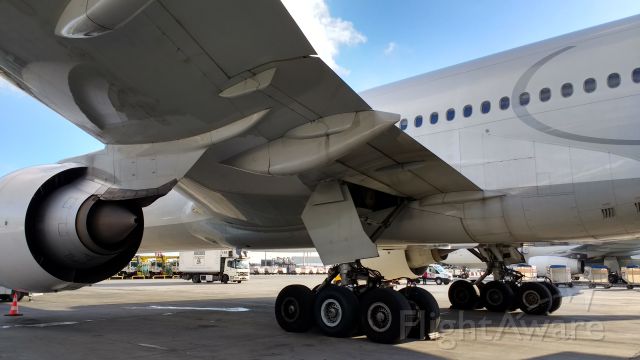 Boeing 777-200 — - Taken with my mobile (Moto G4) just before boarding Flight TK2336