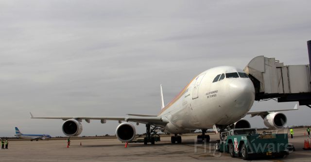 Airbus A340-600 (EC-IOB) - A 346 PLATAFORMA SACO