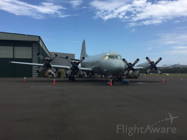 A9753 — - Wollongong Airport HARS Museum AP-3C Orion
