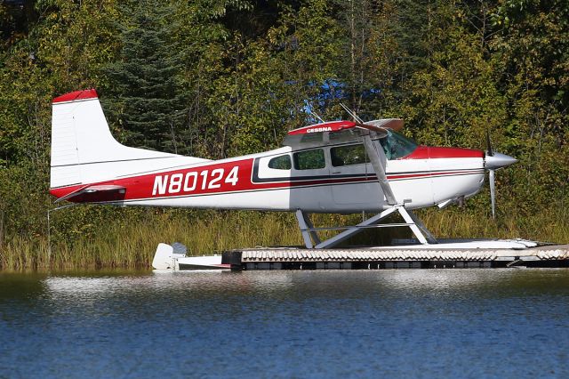 Cessna Skywagon (N80124) - Sterling Longmere Lake