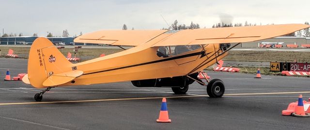 Piper L-21 Super Cub (N448R) - Birchwood AK airport tie-down yard