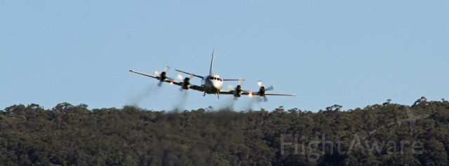 Lockheed P-3 Orion — - Wings over Illawarra 2016 Australia.