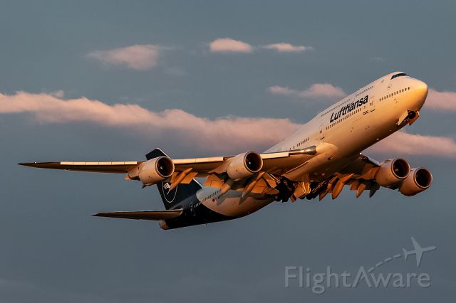 BOEING 747-8 (D-ABYA) - Sunday evening departure 
