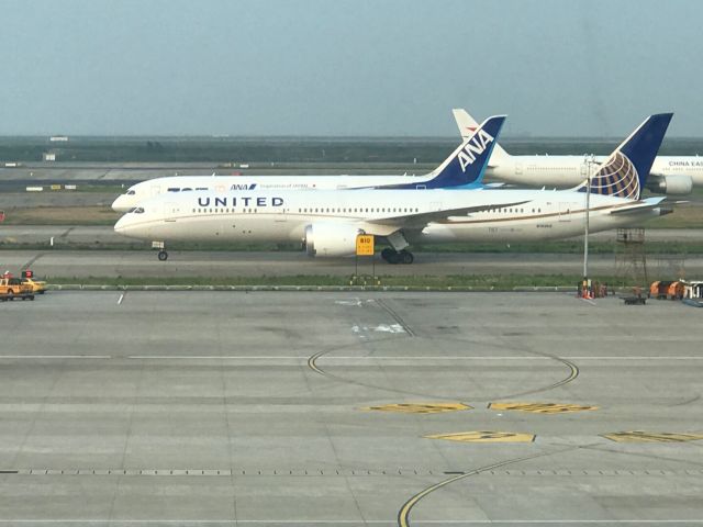 Boeing 787-8 — - United Boeing 787-9 landed at Pudong from San Fransico. With ANA Boeing 787-9 lining up for take off to Narita and China Eastern 777-300ER. 