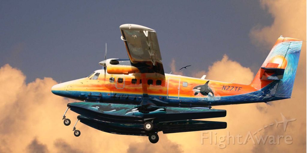 De Havilland Canada Twin Otter (N77TF) - The Nautical Otter, Taking flight for another exciting destination!