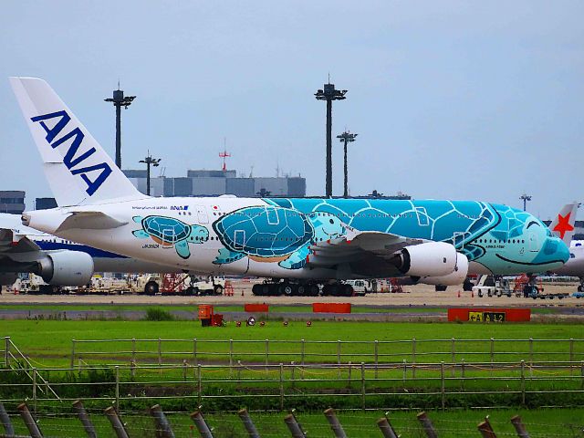 Airbus A380-800 (JA382A) - I took this picture on Jun 09, 2019.