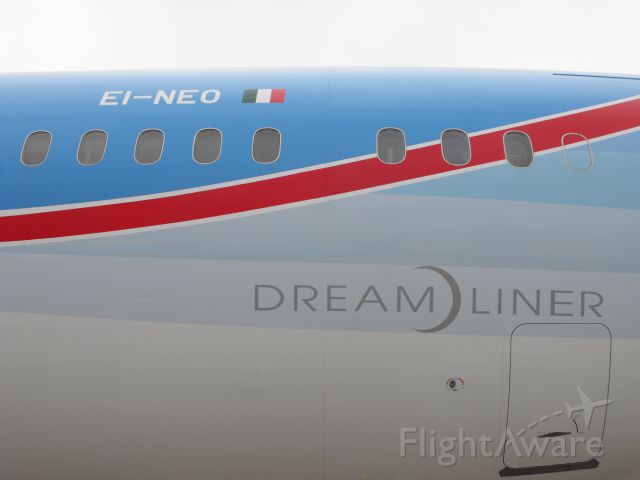 Boeing 787-9 Dreamliner (EI-NEO)