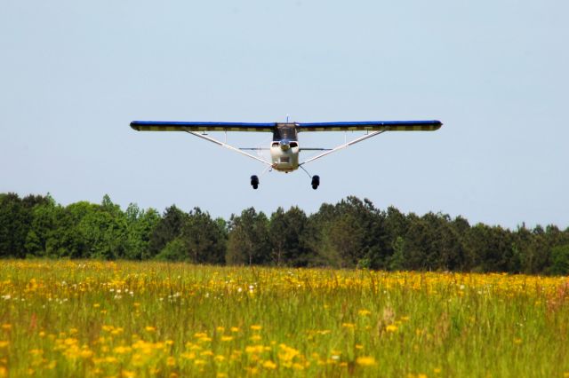 CHAMPION Decathlon (N1207E) - This is airshow pilot and former world champion R/C pilot, RJ Gritter performing a low pass over the beautiful Georgia spring wildflowers. This was in the middle of him practicing his airshow routine at the 2021 Black Flag Aerobatic Practice at the Atlanta Speedway Airport. This was one of my favorite shots I took at this event!