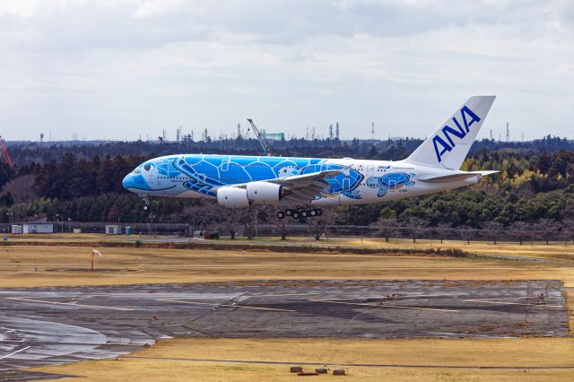 Airbus A380-800 (JA381A) - It was FLYING HONU's(JA381A-Airbus A380-841-All Nippon Airways-) first touchdown at Narita International Airport.