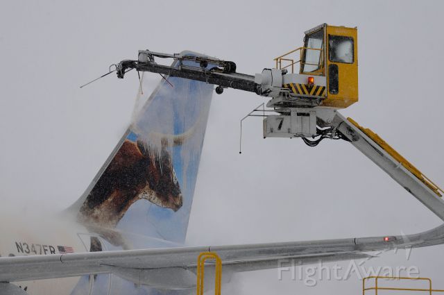 N347FR — - A closeup shot of deicing operations on Lonestar the Longhorn Steer, a new Frontier Airbus A320 neo on the morning of 1 Apr 2021.
