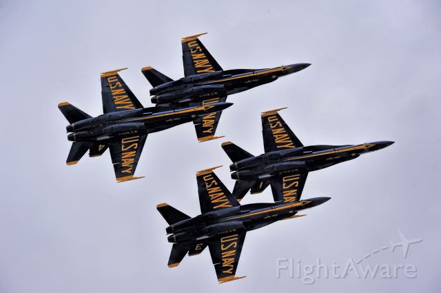 McDonnell Douglas FA-18 Hornet — - The United States Navy Blue Angels performing at KTCL, Tuscaloosa, AL. 