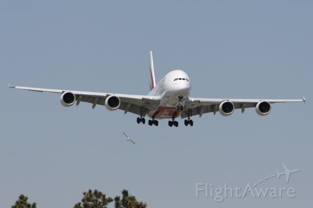 Airbus A380-800 (A6-EDD) - June 5, 2009 - Jumbo arrived Toronto 