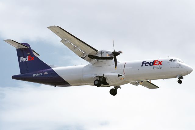 ATR ATR-72 (N804FX) - FedEx Express (opby Mountain Air Cargo) ATR-72 arriving into KBUF via Runway 23