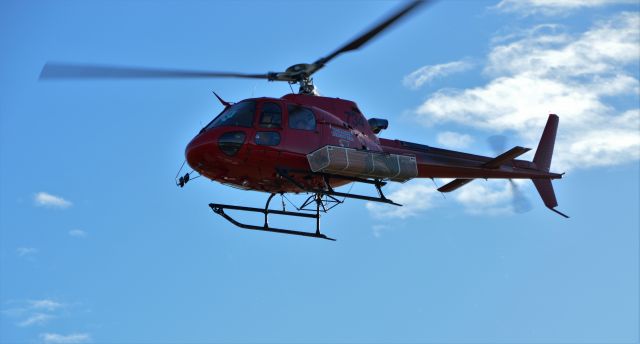 Eurocopter AS-350 AStar (VH-ULT) - Tasmanian Helicopters squirrel 'Firebird 734' at Flinders Island, Mar 2019