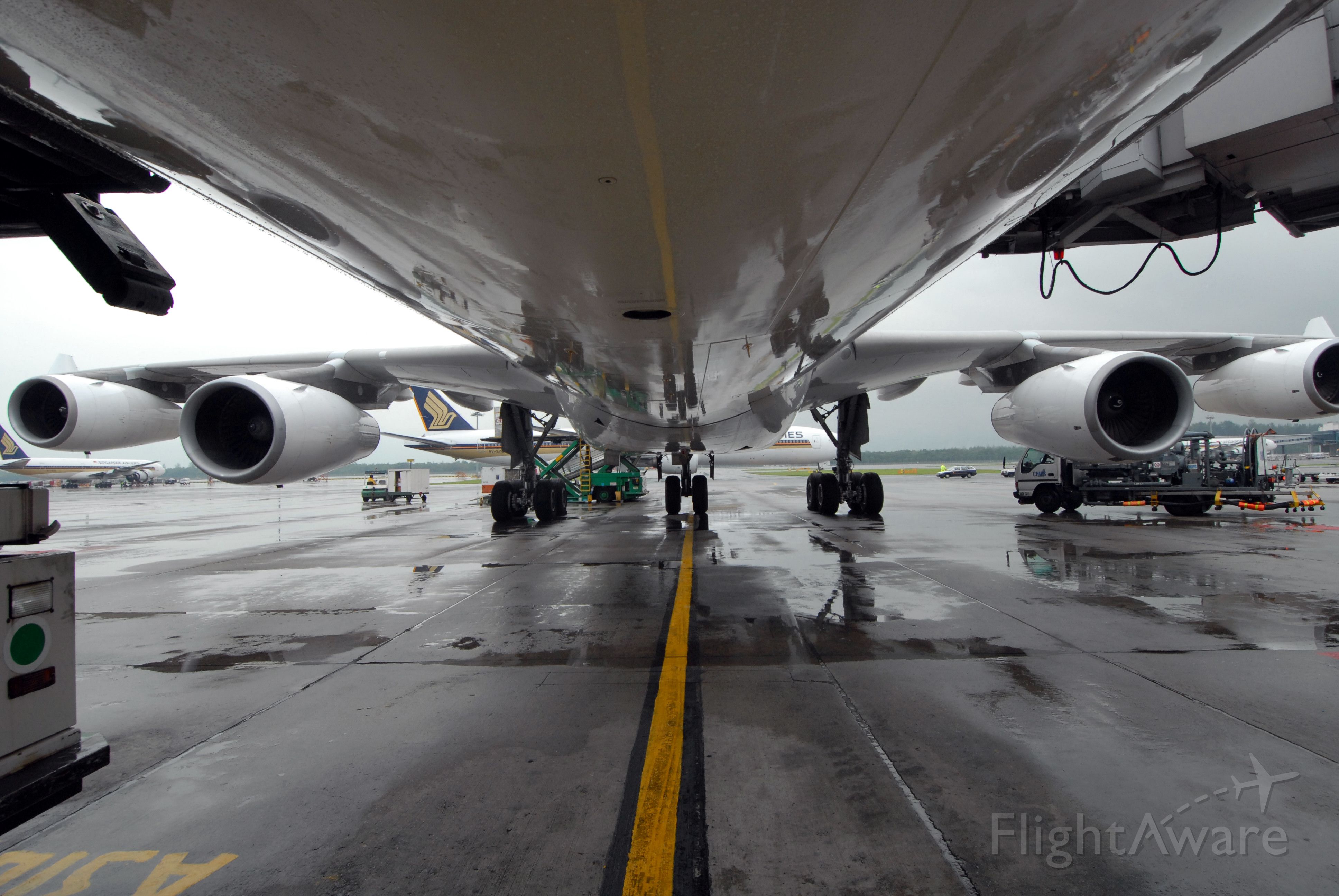 Airbus A340-300 — - While doing the walk around