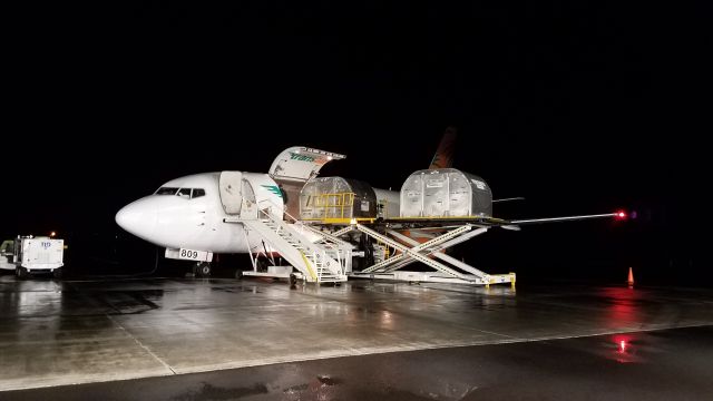 Boeing 737-700 (N809TS) - Early morning cargo operations in Hilo Hawaii.