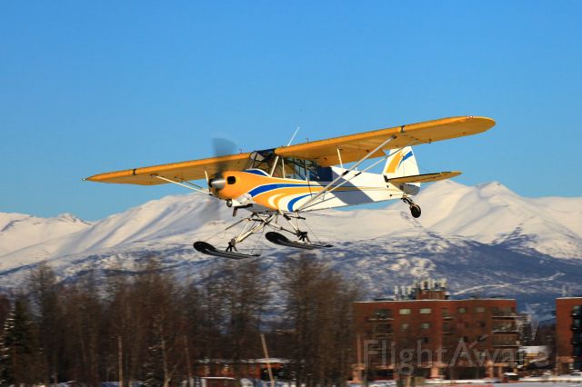 Piper L-21 Super Cub (N1129A)