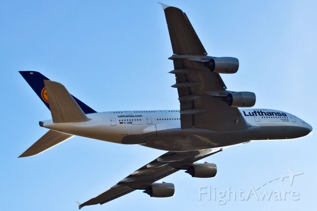Airbus A380-800 (D-AIME)