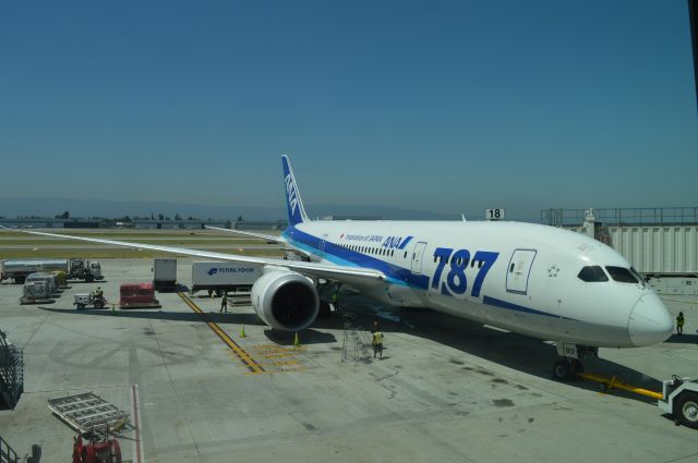 Boeing 787-8 (JA813A)