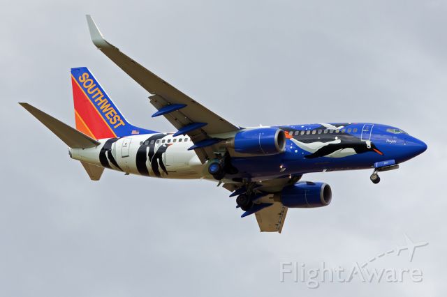 Boeing 737-700 (N280WN) - Caught Southwests newest special: "Penguin One"