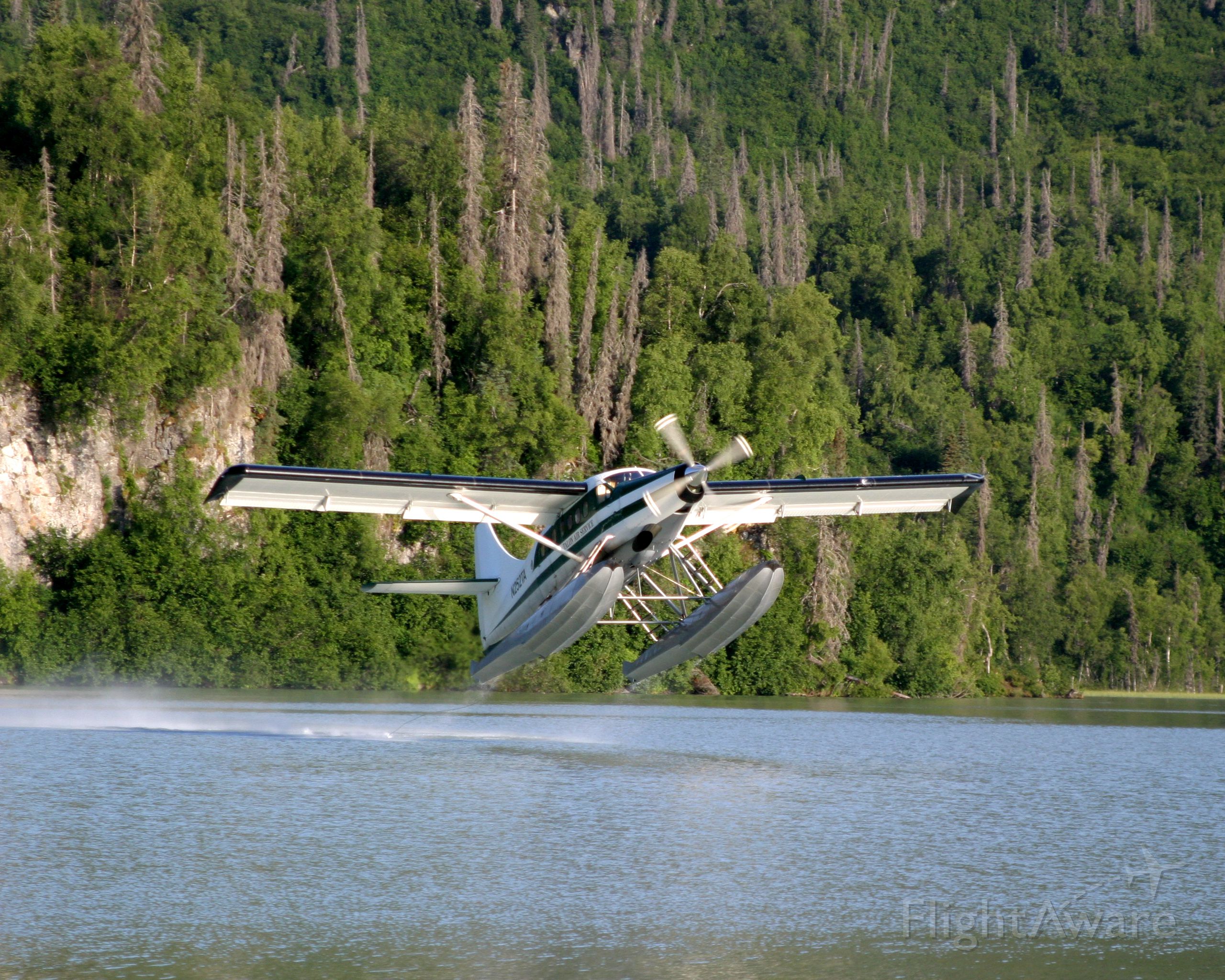 De Havilland Canada DHC-3 Otter (N252TA) - Takeoff