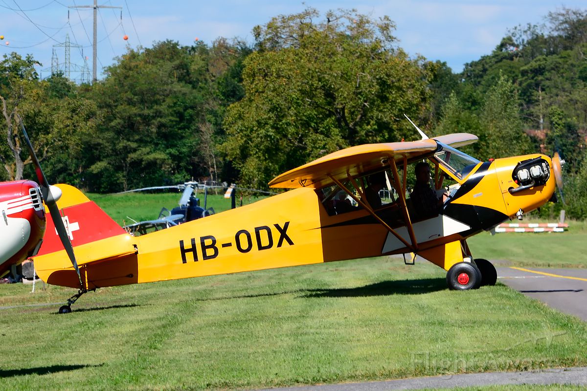 HB-ODX — - 1944 built former 44-80834 (USAF) taxiing at Piper Cub FlyIn 2014.