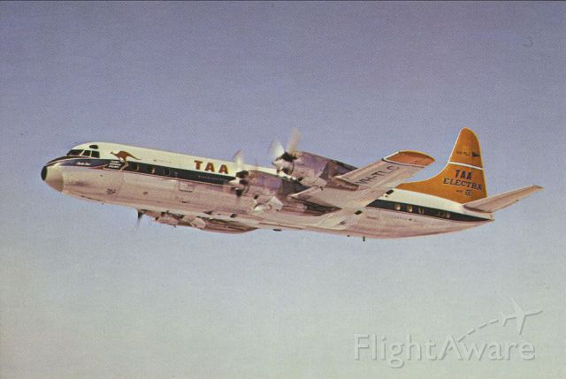 Lockheed L-188 Electra (VH-TLC) - scanned from postcardbr /TAA