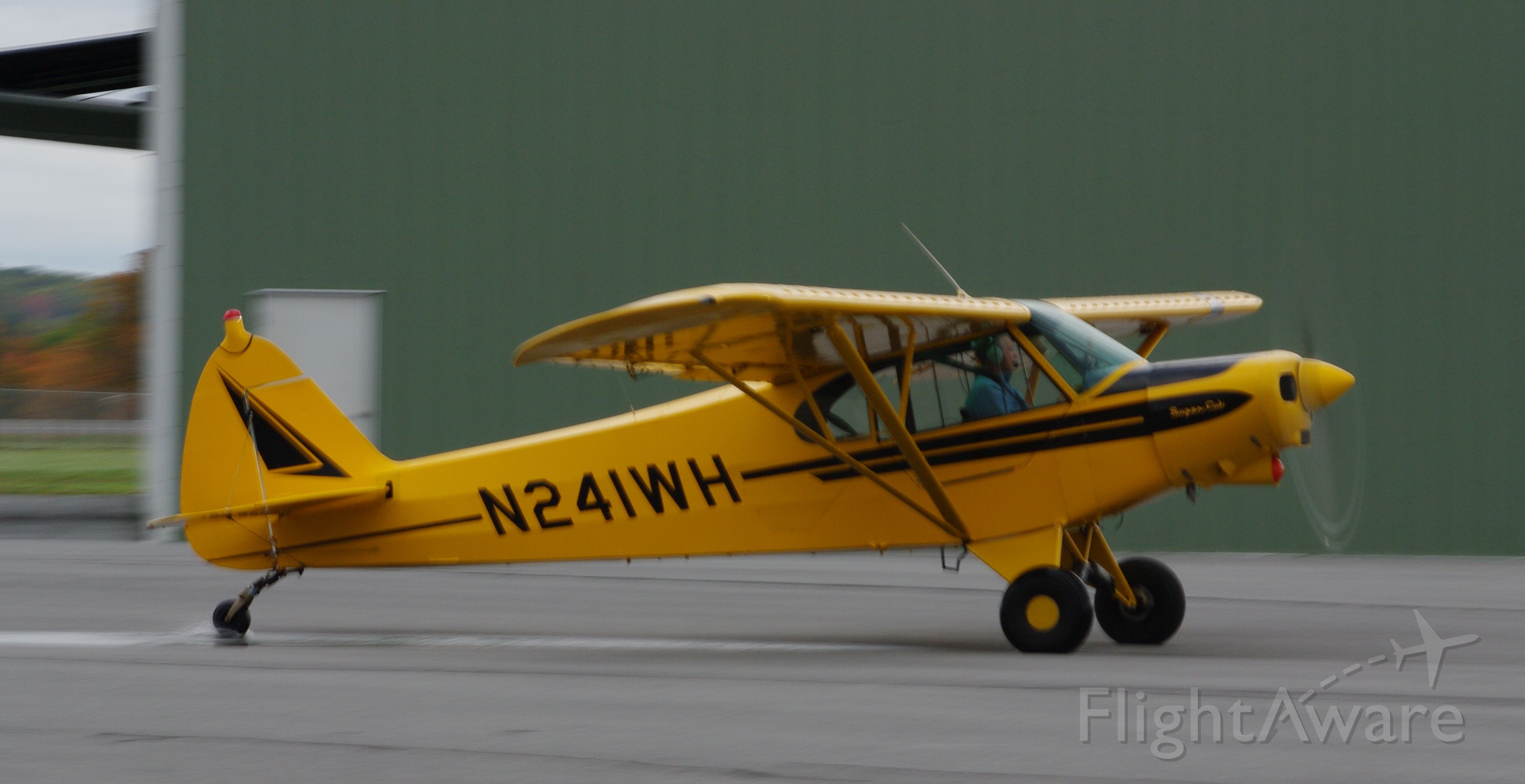 Piper L-21 Super Cub (N241WH)