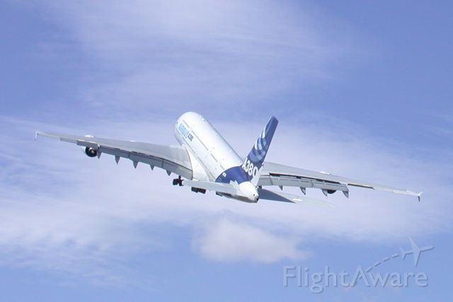 Airbus A380-800 — - Taken Summer 2010 at Farnborough Air Show UK by Mike Palman with a Nikon 995