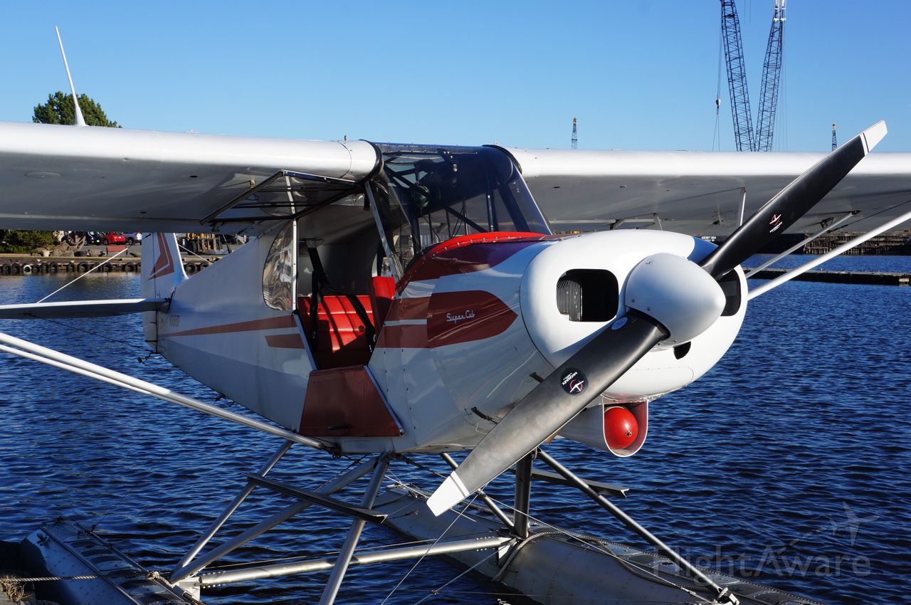 Piper L-21 Super Cub (N9666P)