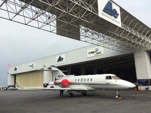 Raytheon Hawker 800 (N818TM) - Photo taken by Steven Nice at Toluca< Mexico July of 2015.