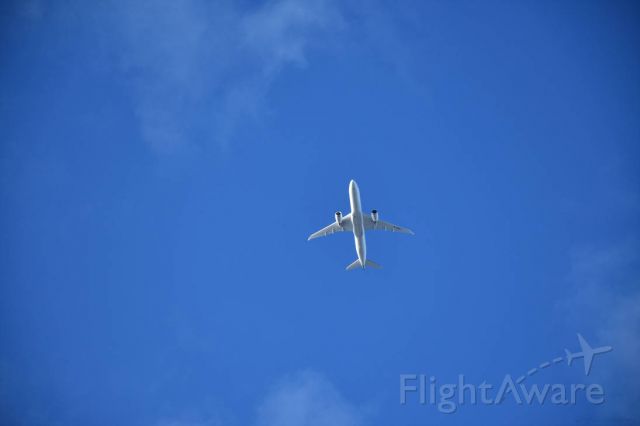 — — - Boeing Dreamliner 787 Flying Away shot by Nikon D7500.