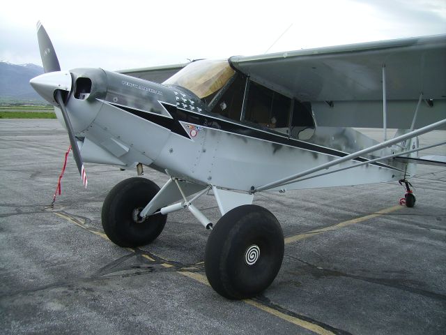 Piper L-21 Super Cub (N7993A)