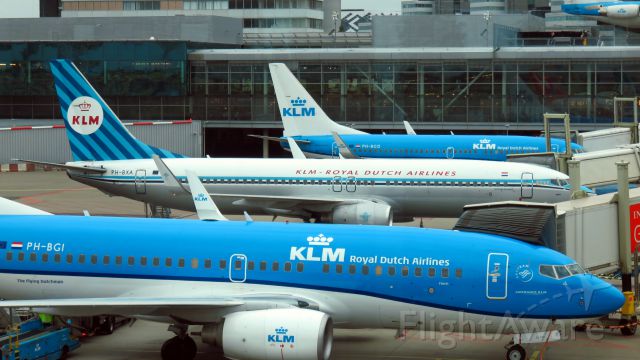 Boeing 737-700 (PH-BXA) - Commemorating 95 years KLM: Boeing 737 PH-BXA "Swan" in nostalgic company color house style design, standing at pier D between colleague 737s PH-BGD and PH-BGI at Schiphol Airport, Amsterdam.
