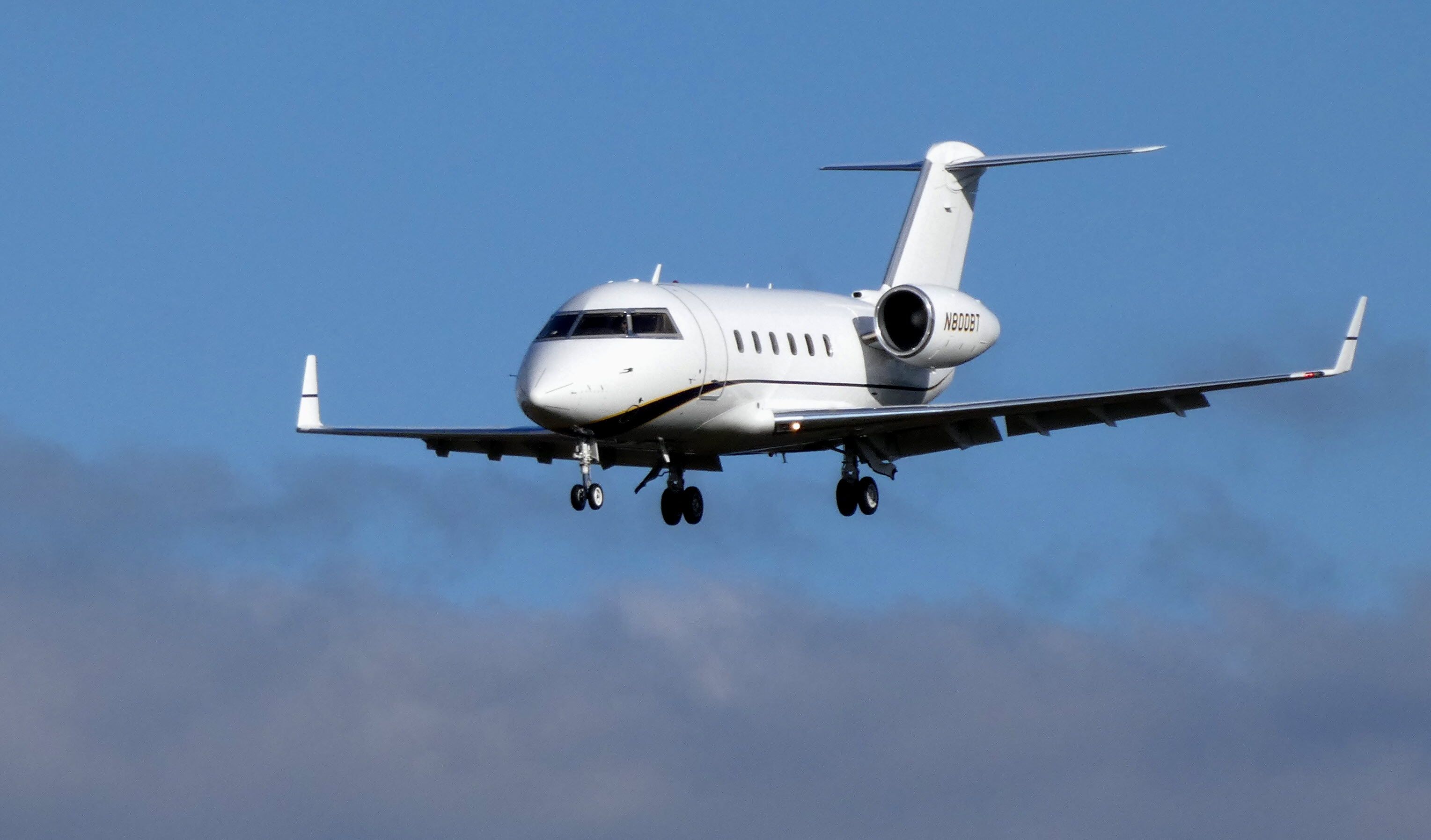 Canadair Challenger (N800BT) - On final is this 1982 Canadair Challenger 600S in the Spring of 2019.