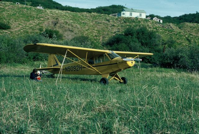 Piper L-18B Cub Special (N5092H)