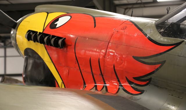 CURTISS Warhawk (N1195N) - At Warhawk Air Museum in Nampa, ID, 15 Oct 19.  NL1195N, P-40N, 42-106396, "Parrot Head"
