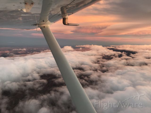 Cessna Skyhawk (N9877T)