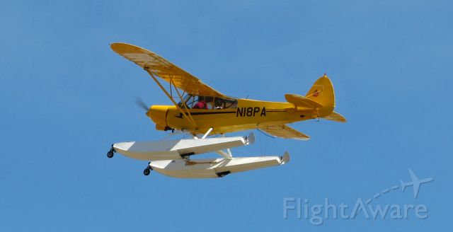 Piper L-21 Super Cub (N18PA)