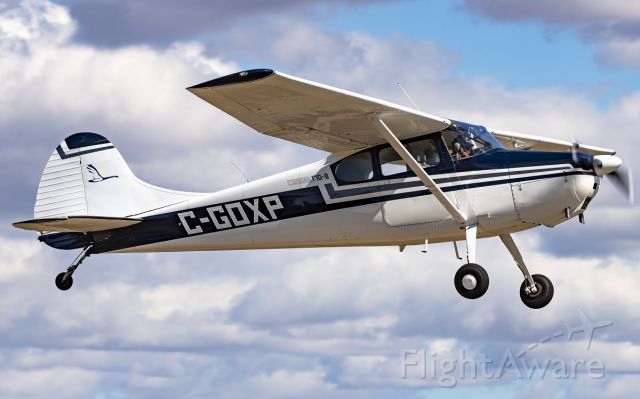 Cessna 170 (C-GOXP)