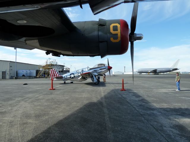 N251MX — - Collings Foundations P-51 C Betty Jane. Taken from under the wing of B-24 Witchcraft, with #1 Boeing KC-767 in background. Paine Field, Everett, WA on 6/23/10